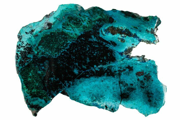 Vibrant Chrysocolla and Shattuckite Slab - Mexico #337007
